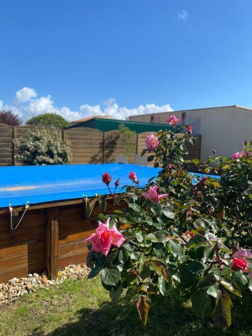Jolie Petite Maison Renovee Piscine Saint-Palais-sur-Mer Exterior foto